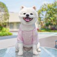 thumbnail image 4 of Pink L Size Pet Hooded Vest, Dog Cat Apparel for Spring Summer - Mesh Fabric, Striped Pattern, Hooded Design, Breathable, Lightweight & Skin-Friendly - for Small Medium Dogs Cats, Daily Wear, Outdoor, 4 of 6