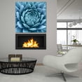 thumbnail image 6 of Epic Art 'Silvery Blue Agave' by Jan Bell Acrylic Glass Wall Art, 36"x36", 6 of 8