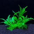 thumbnail image 1 of Water Weeds Aquatic Pet Supplies Underwater Ornaments Decoration Aquarium Decor Simulation Plants Fish Tank Ornament Artificial Plants 5, 1 of 8