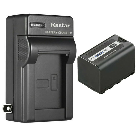 Kastar 2-Pack Battery and AC Wall Charger Replacement for Panasonic AG-VBR59, AG-VBR89G, AG-VBR118G Battery, AG-BRD50 AG-BRD50P, AG-B23 AG-B23P Charger, HC-MDH2 HC-MDH2GK HC-MDH2GK-K HC-MDH2M Camera