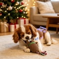 thumbnail image 6 of Holiday Plush Dog Toy, Soft Stuffed Chew Toy for Dog Cats, Christmas Dog Gifts for Small, Middle Dogs, C, 6 of 6