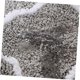 thumbnail image 5 of Alfombras para exteriores NQ Alfombrillas para puertas Alfombras para interiores Alfombras para el hogar Alfombras para baños Cocina alfombras antideslizantes, 5 of 5