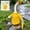 Yellow# B, variant on Raincoat Porch Goose Outfits,Summer Lawn Goose Statue Raincoat Costume for 23",Yard Goose Clothes Raincoats Umbrella Hat Outfit (Yellow)