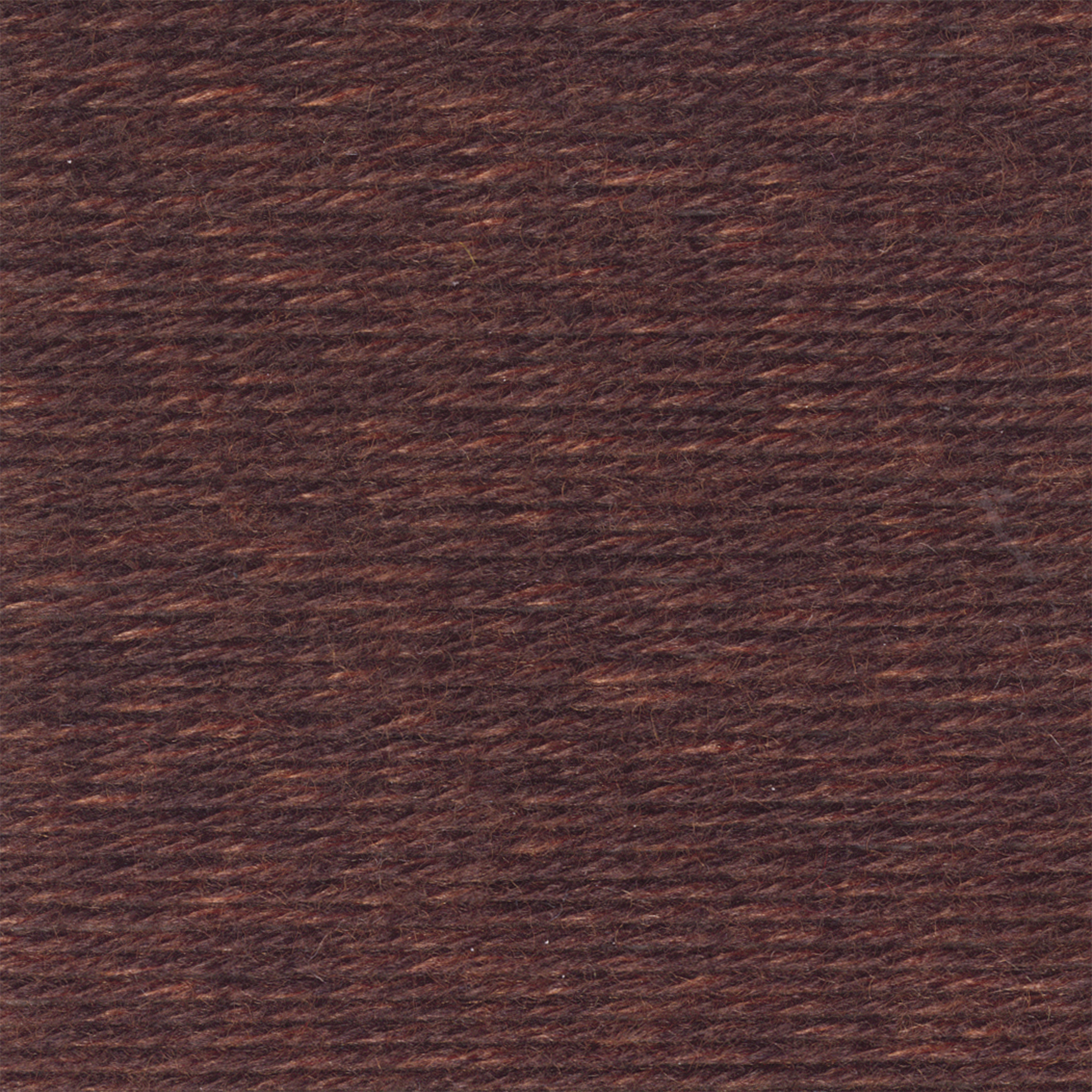 Sequoia