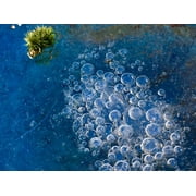 Angle View: Peel-n-Stick Poster of Air Bubbles Frozen Ice Beautiful Cold Water Poster 24x16 Adhesive Sticker Poster Print