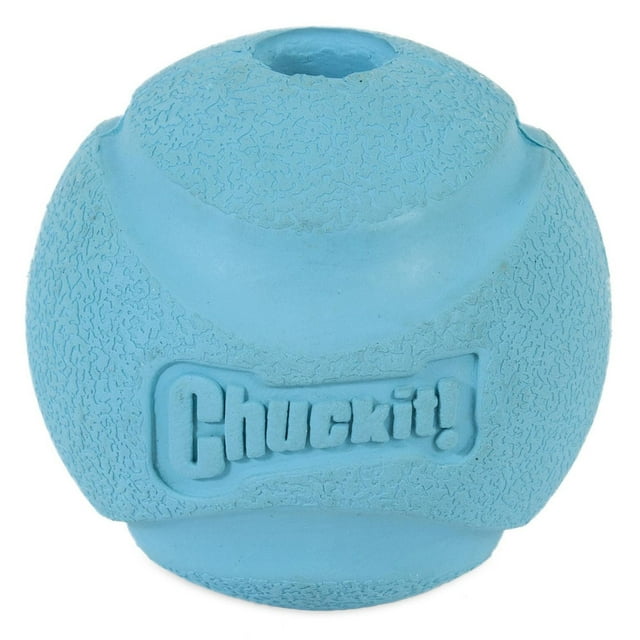 Chuckit! Fetch Ball Medium Durable Rubber Ball Dog Toy