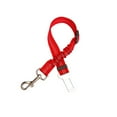thumbnail image 1 of Agiferg NEVER Put Your Dog In Danger On The Road Again, 1 of 1