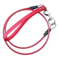 thumbnail image 1 of Correa Para Perros De Acero, 1 of 1