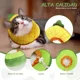 thumbnail image 5 of 2 Collar Isabelino De Recuperación Ajustable Suave Para Gato, 5 of 8