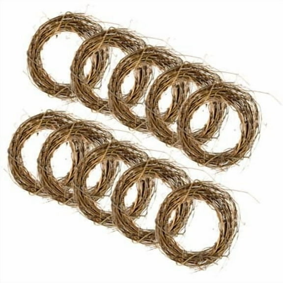 10" Natural Grapevine Wreath by Ashland - Ready-to-Decorate Rustic Home Decor for Weddings - Birthdays - Parties - and Holidays - Bulk 10 Pack