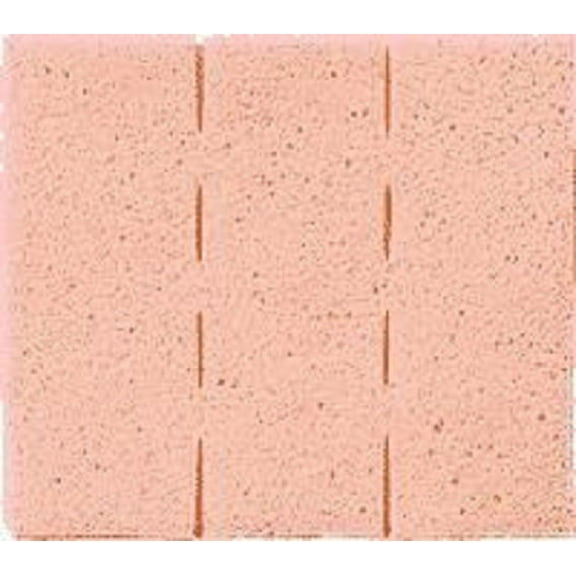 PolyWIC Wound Filler ''3 x3 , 1 Count''