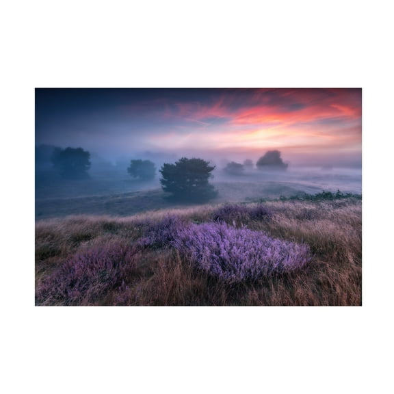 Canvas Wall Art - Adam Pachula 'Qthe Colors Of Heatherq' Wall Art for Living Room, Bedroom, or Office D?cor by Trademark Fine Art - 19 x 12 Inches