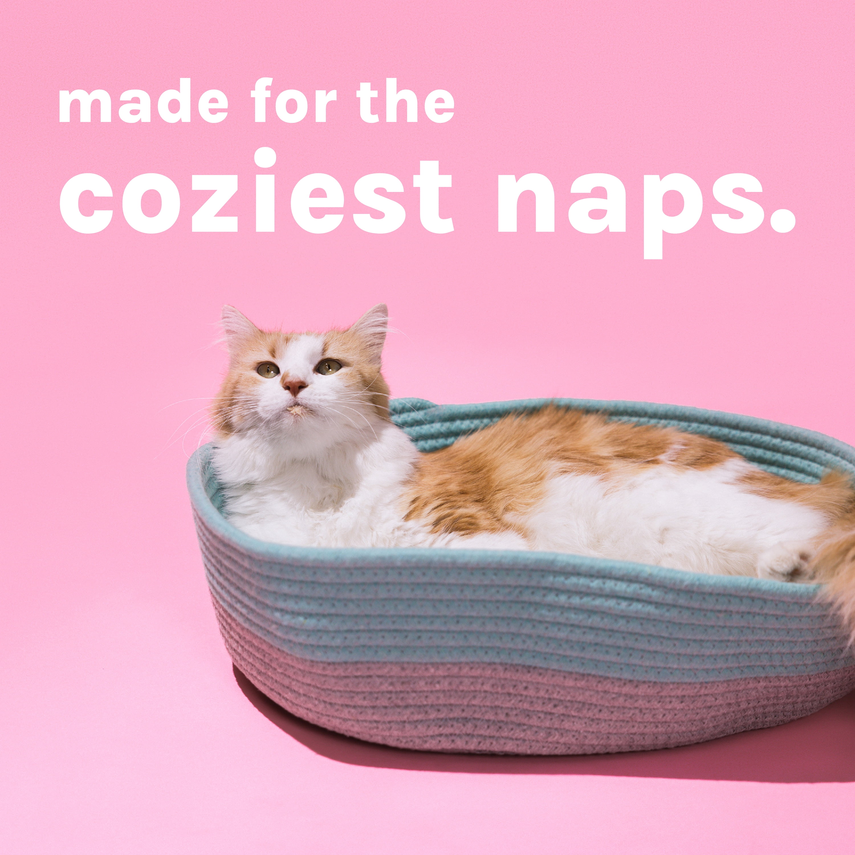 Kitty City Woven Cat Bed, Cotton Rope Basket with Washable Cushion, Multicolor