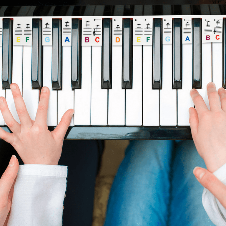 Piano Notes Guide for Beginner, Removable Piano Keyboard Note Labels for  Learning, 88-Key Full Size, Made of Silicone, No Need Stickers, Reusable  and Comes with Box, Colorful : Musical Instruments 