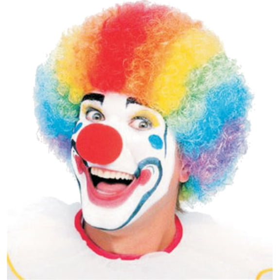 Dress Up America Clown Wig - Rainbow Wig for Men and Women - One Size Fits Most