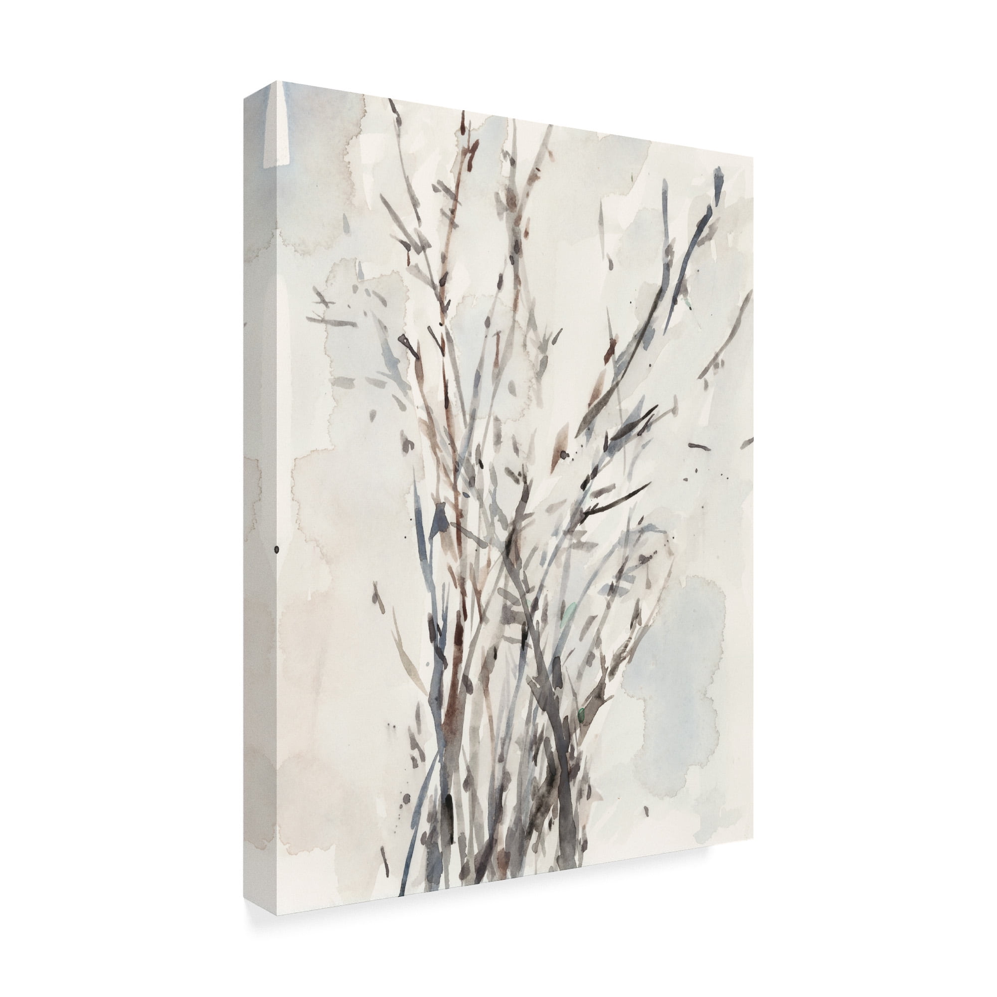 Trademark Fine Art 'Watercolor Branches I' Canvas Art by Samuel Dixon