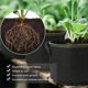 thumbnail image 5 of Irfora Maceta de 50 galones Bolsa de cultivo con mango Bolsa de maceta engrosada Contenedor de forma redonda Tela no tejida Macetas de jardín para hortalizas Flores Hierbas Plantación de frutas Irfora Bolsa de cultivo, 5 of 7