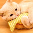 thumbnail image 4 of Fish Cat Toys, Catnip Toy Provides Stimulation Safe  for Home, 4 of 8