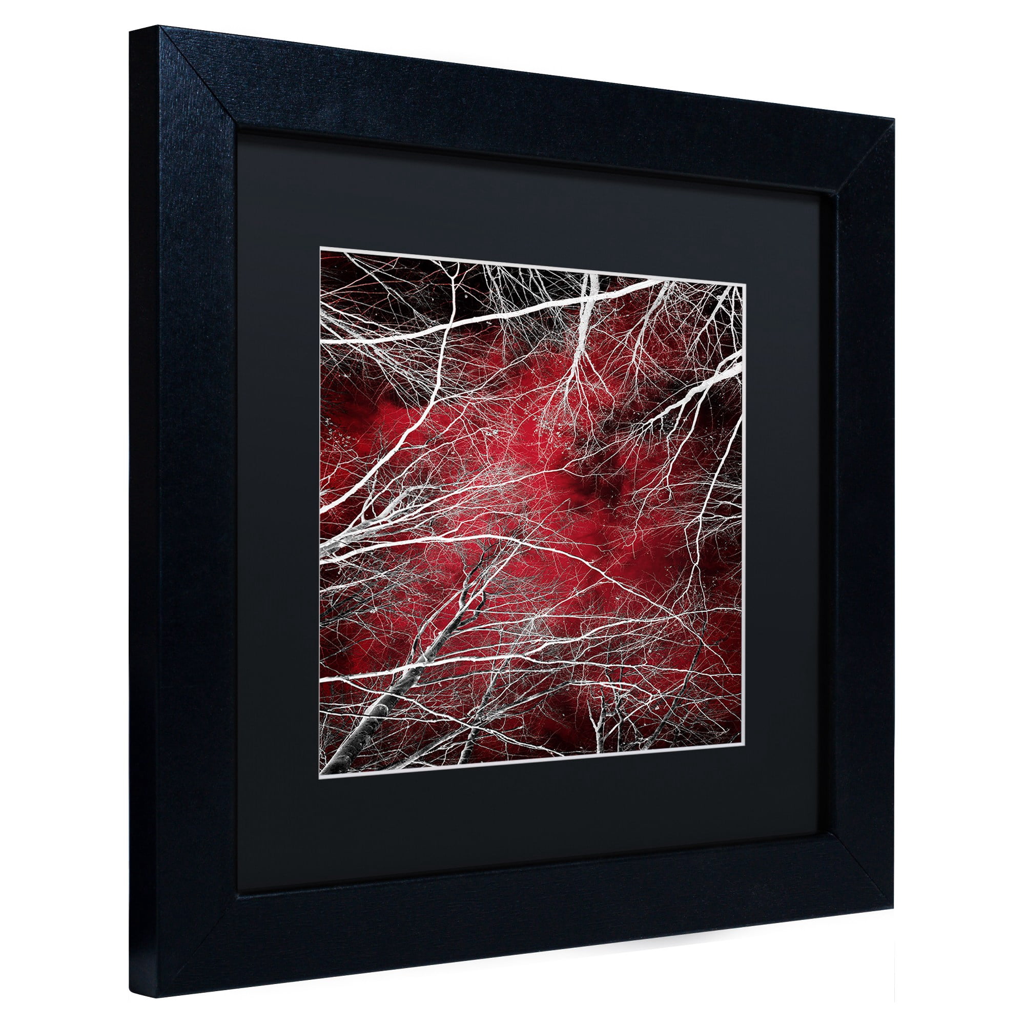 Trademark Fine Art "Fear" Canvas Art by Philippe Sainte-Laudy Black Matte, Black Frame