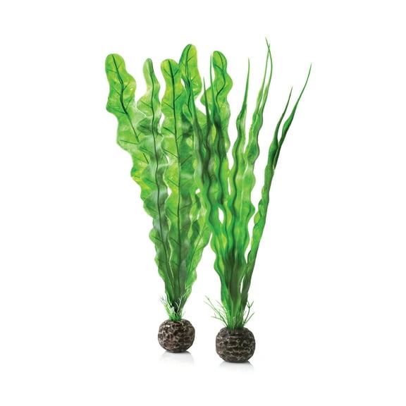 biOrb Medium Green Plant Set - Aquarium Plant Decoration