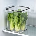 thumbnail image 6 of Linnome Refrigerator Side Door Transparent Food Storage Box Fruit Veggie Egg Classification Organizer Fridge Side Shelf Stackable Clear Container, 6 of 6