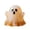 1F- white, variant on Clearance! Halloween Ghost Squish 2.36 Inch, Translucent Spooky Squeeze Ball, Sensory Stress Relief Fidget for K*ids Adults Desktop
