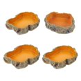 thumbnail image 5 of Reptile Feeding Bowls Terrarium Plate Reptile Feeder Amphibian Feeding Bowl for Frog Tortoise Bearded Dragon Turtle,L, 5 of 5