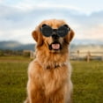 thumbnail image 4 of YIEMEEN Dog Goggles for Medium Small Dog Waterproof Dog Sunglasses Windproof Goggles Adjust Pet Goggles, 4 of 17