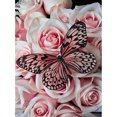 thumbnail image 1 of Cuadros Decorativos (DE0946) 5D DIY taladro completo diamante pintura mariposa bordado mosaico Kit (B416) 20X30cm Wdftyju embutido en tela, 1 of 2