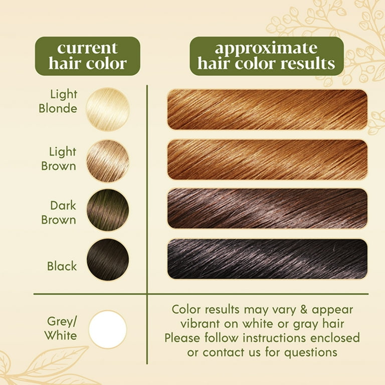 お中元 お歳暮 お年賀 夏 冬 年末年始のご挨拶 ギフト 通販な Color Hair Henna Herbal #53:Spiced Walmart.com - Chestnut カラーリング・白髪染め