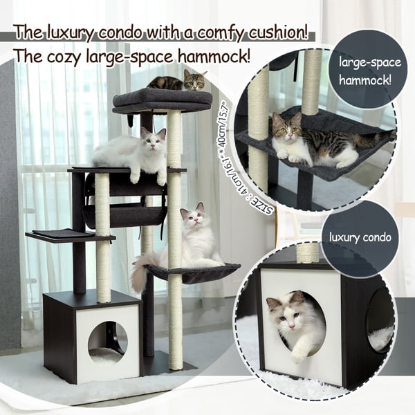 Overstock Clearance for Cats, On Sale