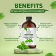 thumbnail image 2 of TRATAK ORGANICS Peppermint Essential Oil, 100% Pure & Natural, Undiluted for Aromatherapy, Diffuser, 4 oz (Pack of 2), 2 of 8