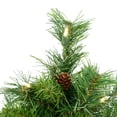 thumbnail image 2 of Vickerman 2' Cheyenne Pine Artificial Christmas Tree, Warm White Dura-Lit® LED Lights, 2 of 4
