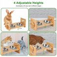 thumbnail image 5 of Imountek Bamboo Double Pet Feeder for Dogs, Cats and Rabbits, 5 of 8