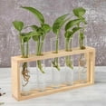 thumbnail image 2 of Terrarium de Plante à 5 Tubes à Essai, Transparent Largement Utilisé Poli Observation du Statut de Croissance Espace Ample Terrarium de Plante Réutilisable pour Bureau pour Violette Africaine, 2 of 7