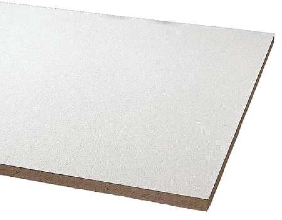 ARMSTRONG 868B Clean Room Ceiling Tile, 24 in W x 24 in L , PK12
