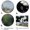 thumbnail image 3 of Designart "White Black Dandelion I" Floral Floater Framed Canvas Art Print, 3 of 7