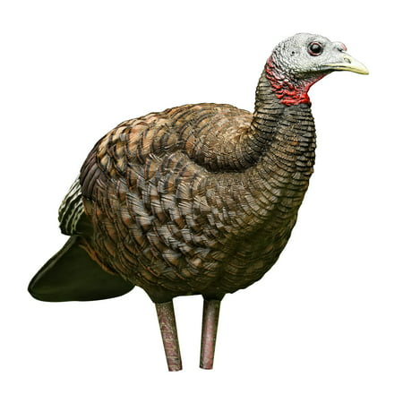 Avian-X Breeder Lifelike Collapsible Decoy LCD Folding Hen Turkey Hunting (Best Turkey Decoys 2019)