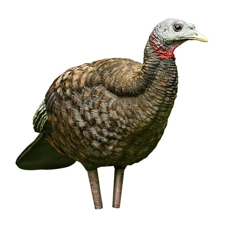 - Avian-X Breeder Lifelike Collapsible Decoy LCD Folding Hen Turkey Hunting Decoy