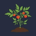 thumbnail image 3 of CafePress - Tomato Plant Hoodie - Kids Hooded Sweatshirt, Classic Hoodie, 3 of 4
