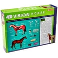 thumbnail image 2 of Horse Anatomy Model, 4D Vision, 2 of 3