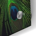 thumbnail image 3 of Epic Art 'Peacock Tail' by Incado, Acrylic Glass Wall Art, 24"x36", 3 of 8