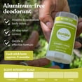 thumbnail image 3 of (Pack Of 8) Humble Brands Deodorant Bergamot & Ginger 2.5 Oz, 3 of 7