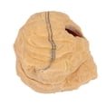 thumbnail image 4 of Miangastore Powerlong Crawler Hiding Cave Tropical Rainforest Desert Reptiles House Size S, 4 of 9