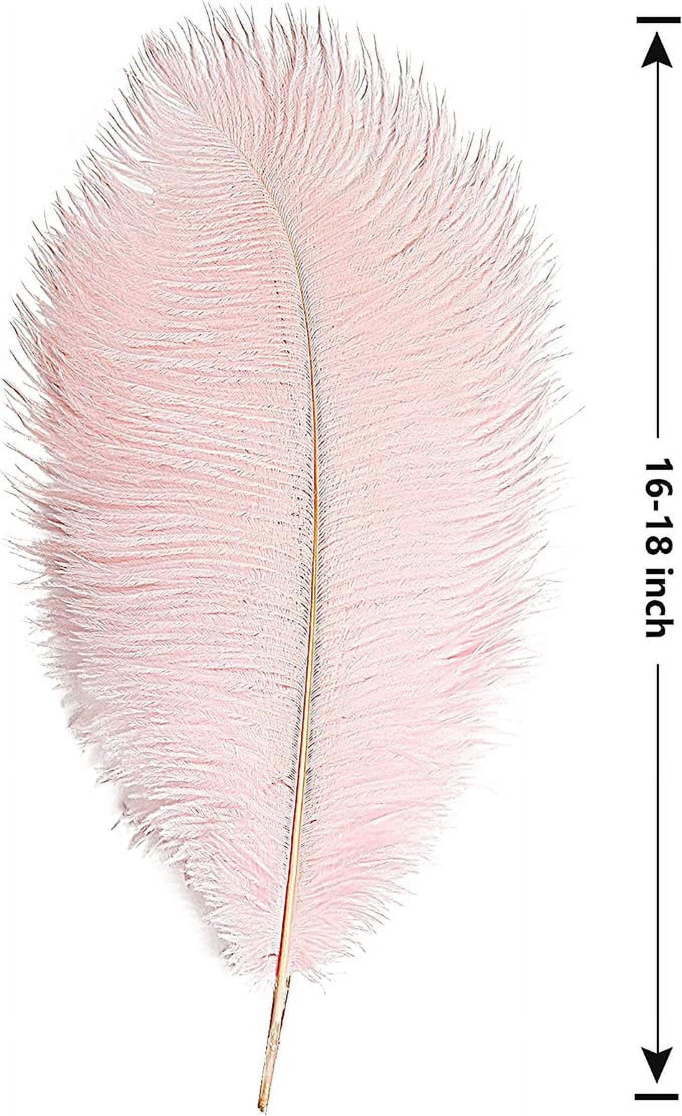 Nvzi 12pcs Pink Ostrich Feathers Natural Bulk 16-18Inch 40cm-45cm for Wedding Party Centerpieces Easter Gatsby and Home Decorate Ostrich Feathers