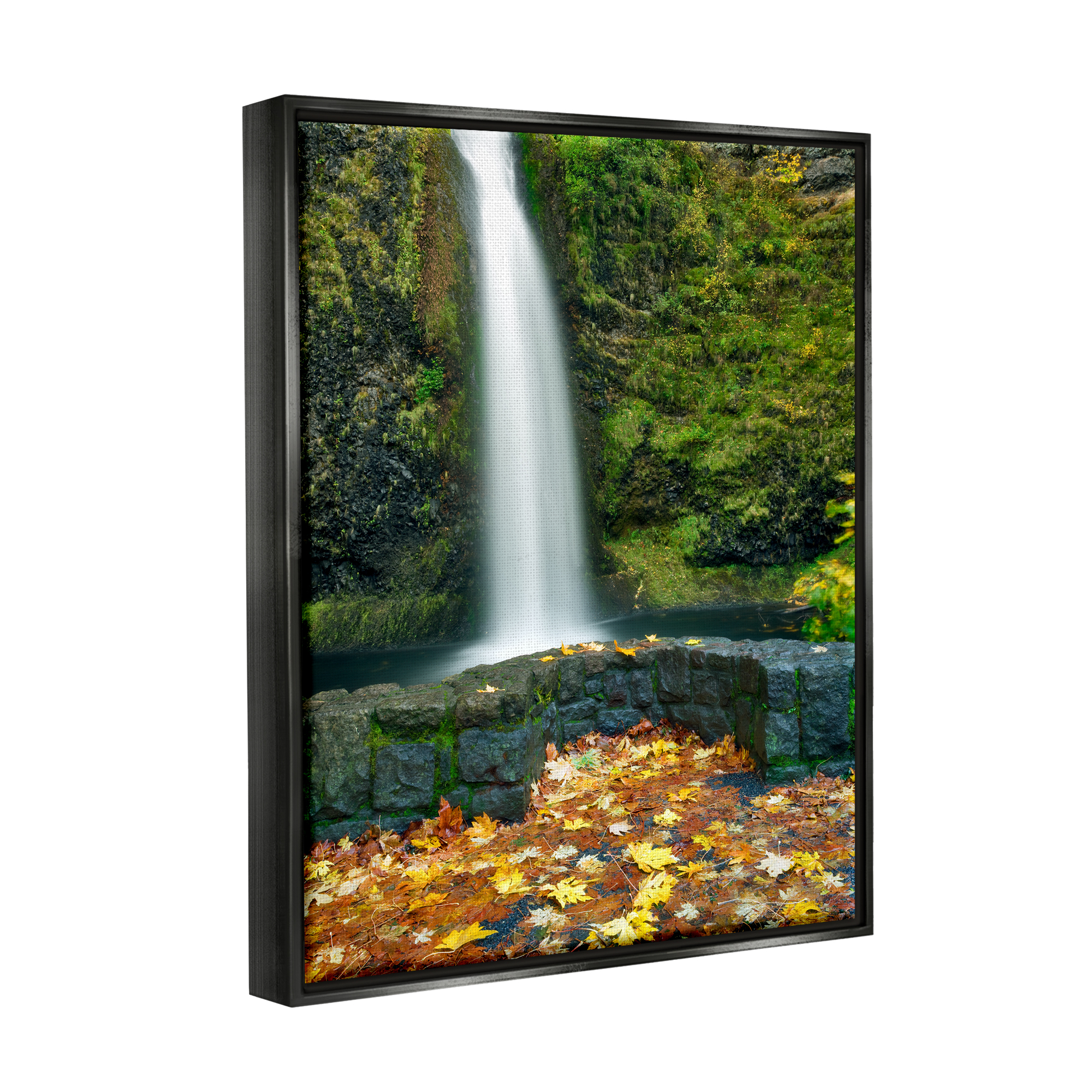 Stupell Industries Waterfall Foliage Photography Nature Photography Black Floater Framed Art Print Wall Art, 25 x 31
