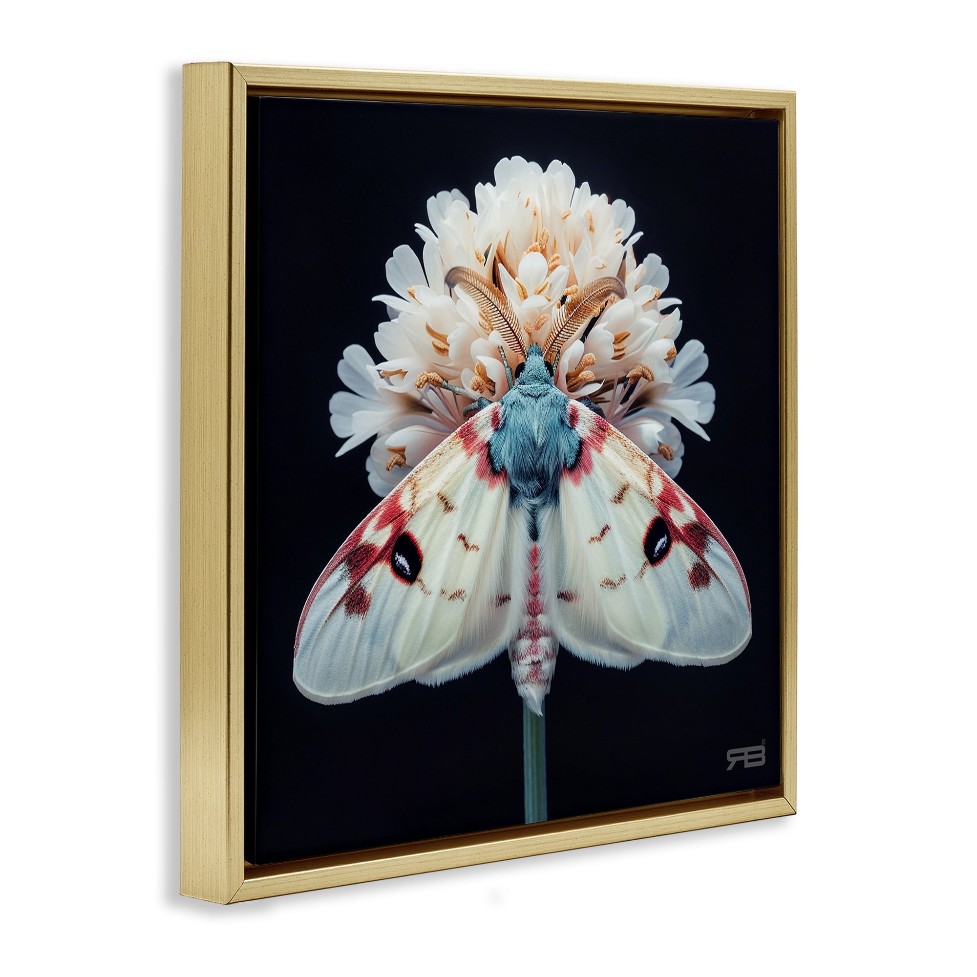 Stupell Industries Moth & White Flowers Animals & Insects Painting Gold Floater Framed Canvas Art Print Wall Art, 18 x 18