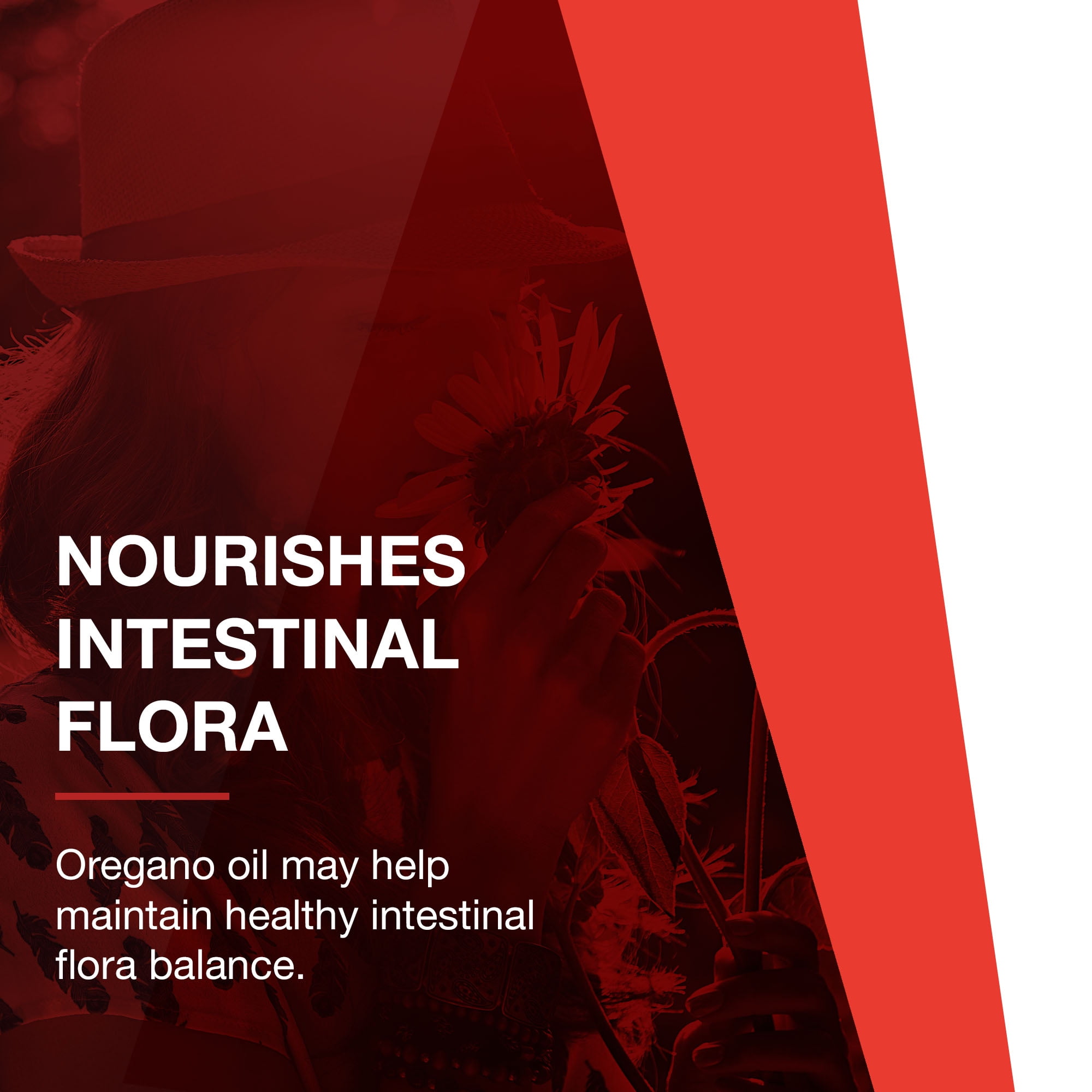 Protocol For Life Balance - Oregano Oil - with Ginger and Fennel Oil, Helps Provide Intestinal Support, Immune System Function - 90 Softgels