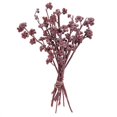 thumbnail image 1 of Vickerman H1RGM475 13 x 1-3 Po Branche Givrée&44; Rouge - 14 Pièces, 1 of 1