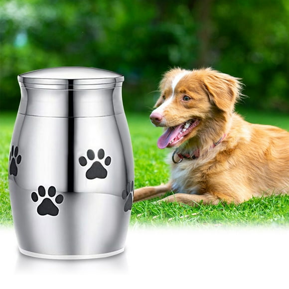 Amdohai Pet Urn Small Cremation Urn for Pet Ashes Stainless Steel Memorial Urns for Dogs